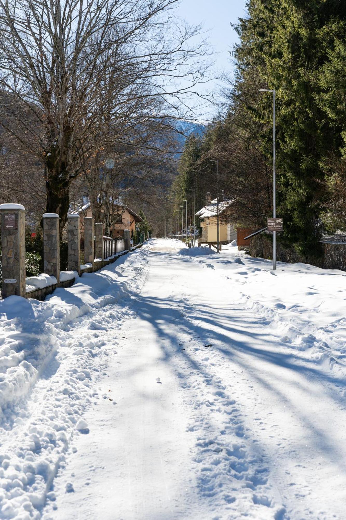 Вила 11 - Семейна Почивка В Сърцето На Балкана Ribaritsa Buitenkant foto